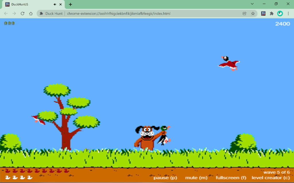 Classic Duck Hunt
