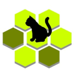 Catch Cat